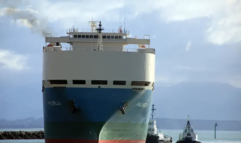 PALMELA General Cargo IMO 9207388 photo 5