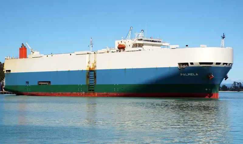 PALMELA General Cargo IMO 9207388 photo 8