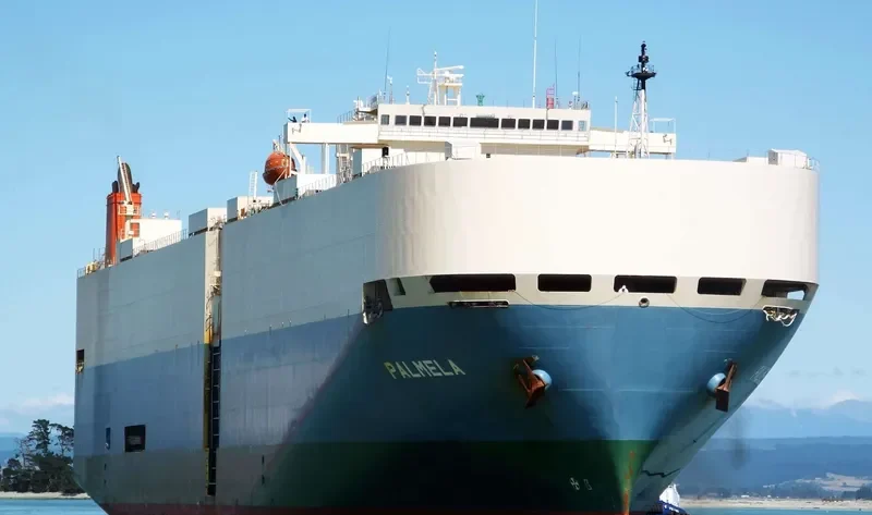 PALMELA General Cargo IMO 9207388 photo 9