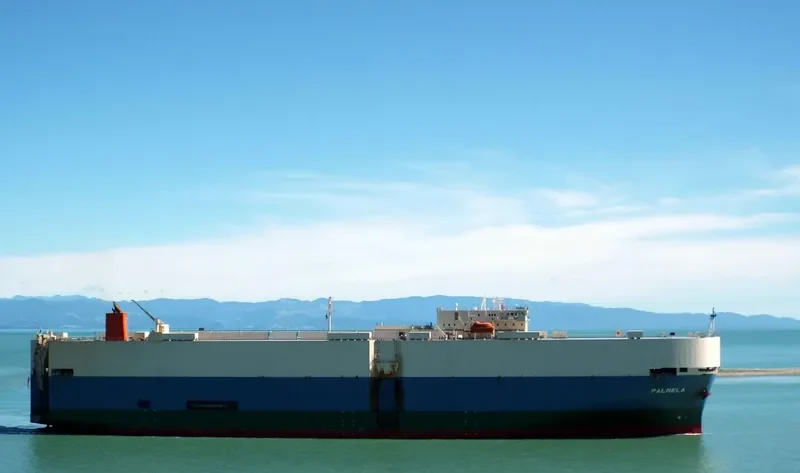 PALMELA General Cargo IMO 9207388 photo 10
