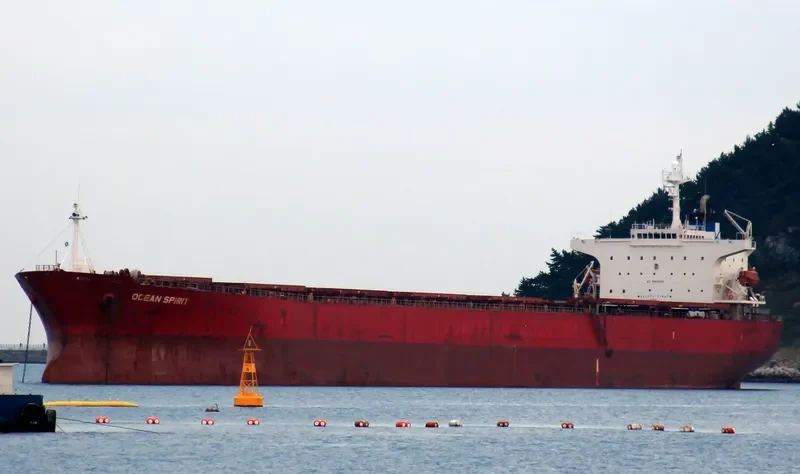 JASMINE 201 Bulk Carrier IMO 9207417 photo 2