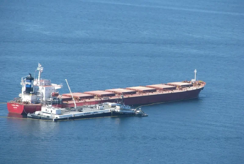 JASMINE 201 Bulk Carrier IMO 9207417 photo 5