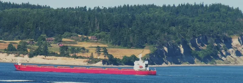 JASMINE 201 Bulk Carrier IMO 9207417 photo 6