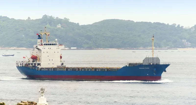 HAIAN PARK Container Ship IMO 9207560 photo 3