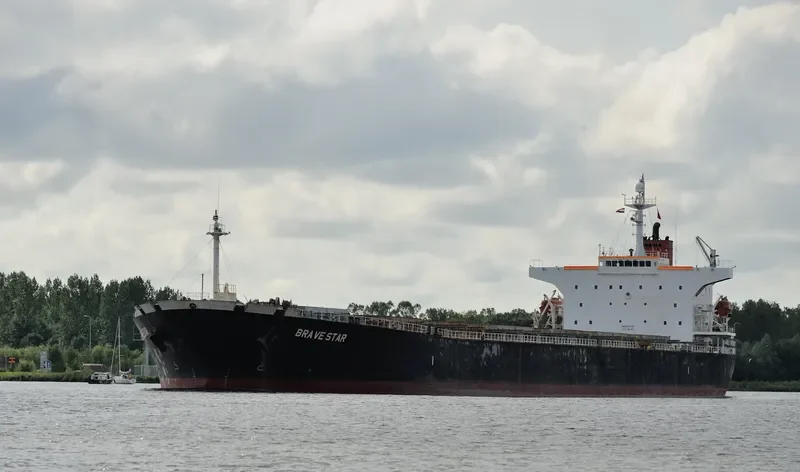 AGIOS NIKOLAOS I Bulk Carrier IMO 9207742 photo 2