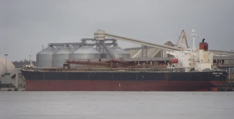 AGIOS NIKOLAOS I Bulk Carrier IMO 9207742 photo 4
