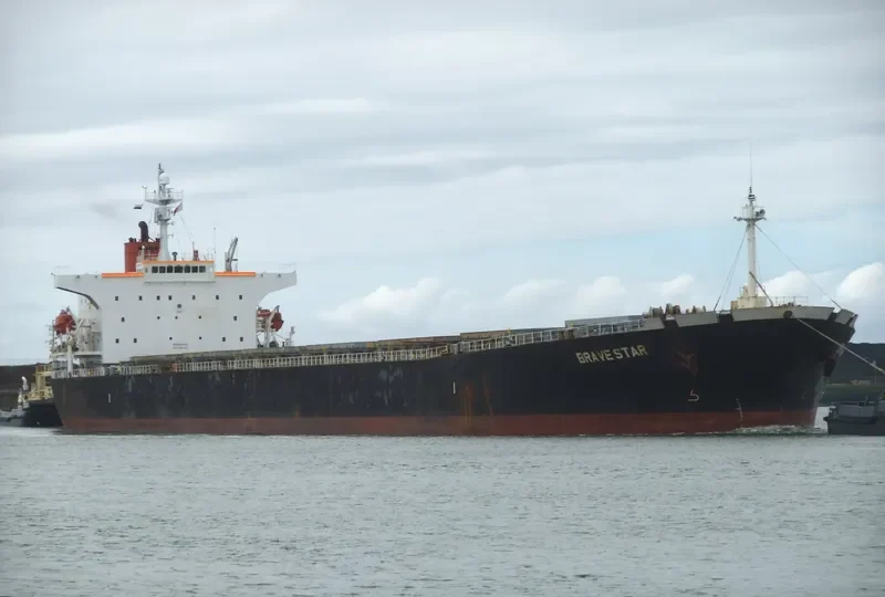 AGIOS NIKOLAOS I Bulk Carrier IMO 9207742 photo 10