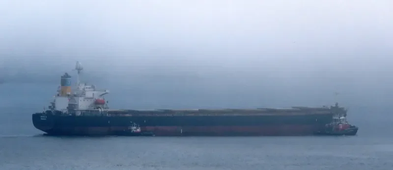 ANNA S Bulk Carrier IMO 9207778