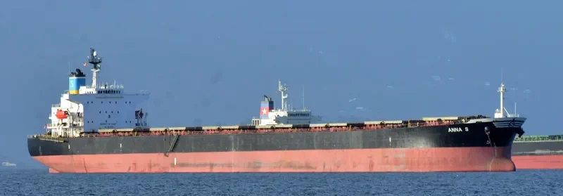 ANNA S Bulk Carrier IMO 9207778 photo 2