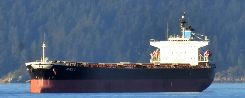 ANNA S Bulk Carrier IMO 9207778 photo 3