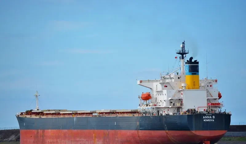 ANNA S Bulk Carrier IMO 9207778 photo 8