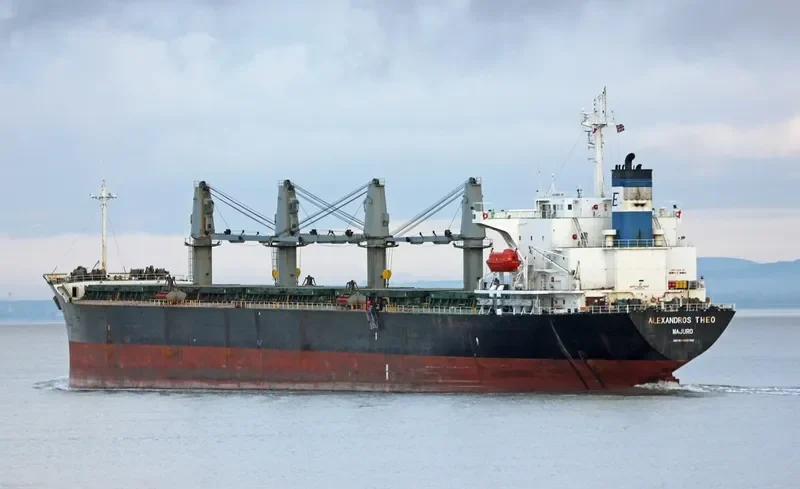 GEAT WISDOM Bulk Carrier IMO 9207792 photo 5