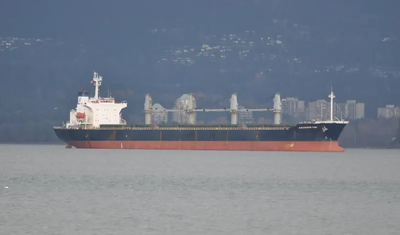 GEAT WISDOM Bulk Carrier IMO 9207792 photo 7