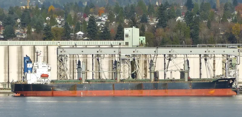GEAT WISDOM Bulk Carrier IMO 9207792 photo 8