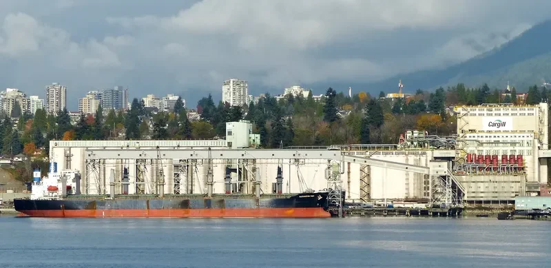 GEAT WISDOM Bulk Carrier IMO 9207792 photo 9
