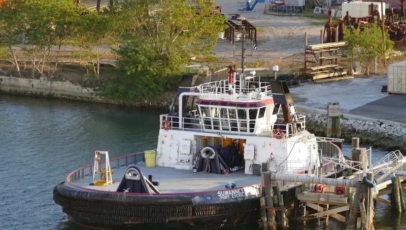 SUWANNEE RIVER General Cargo IMO 9207912 photo 2