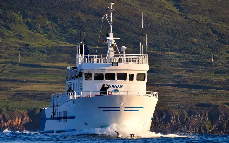 SAEVAR Passenger Ship IMO 9207950 photo 3