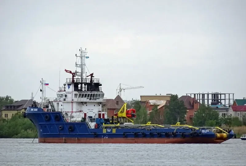 DMS 2000 General Cargo IMO 9208318