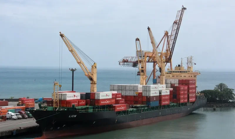 LION Container Ship IMO 9208356 photo 2
