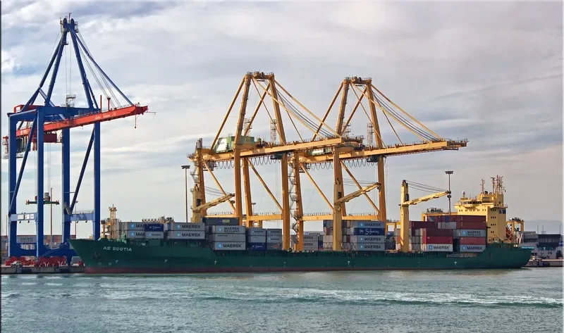 LION Container Ship IMO 9208356 photo 6