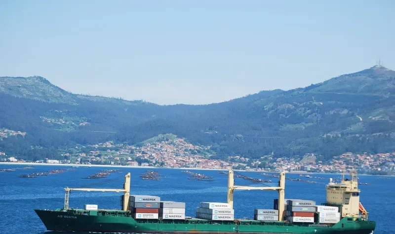 LION Container Ship IMO 9208356 photo 10