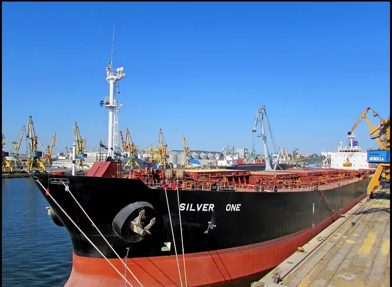 ZHONG AN YANG Bulk Carrier IMO 9208502 photo 5