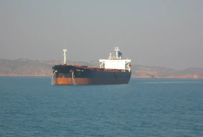 ZHONG AN YANG Bulk Carrier IMO 9208502 photo 6