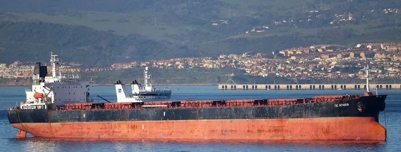LEI SHENG 2 Bulk Carrier IMO 9208514