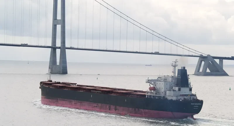 LEI SHENG 2 Bulk Carrier IMO 9208514 photo 5