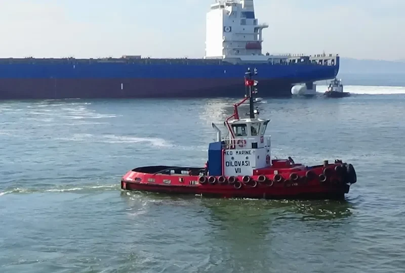 DILOVASI VII General Cargo IMO 9208643 photo 7