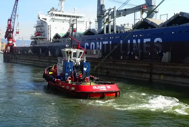 DILOVASI VII General Cargo IMO 9208643 photo 8