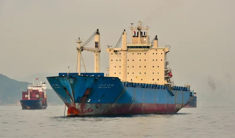 WADI ALRAYAN Container Ship IMO 9208875