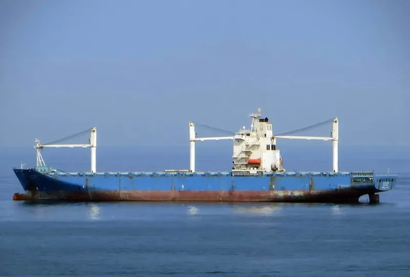 WADI ALRAYAN Container Ship IMO 9208875 photo 2