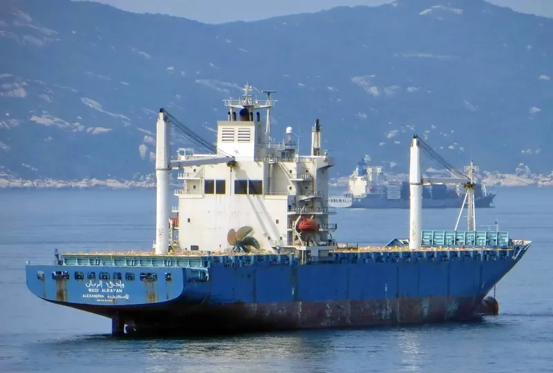 WADI ALRAYAN Container Ship IMO 9208875 photo 3