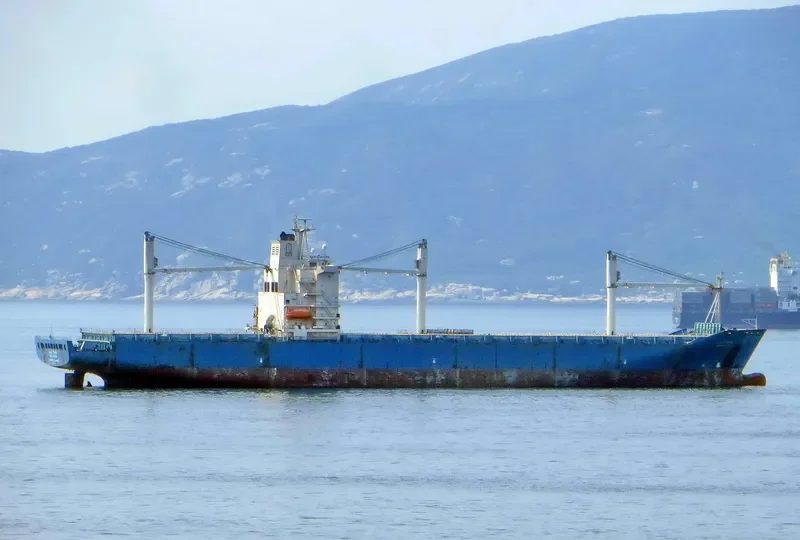 WADI ALRAYAN Container Ship IMO 9208875 photo 4