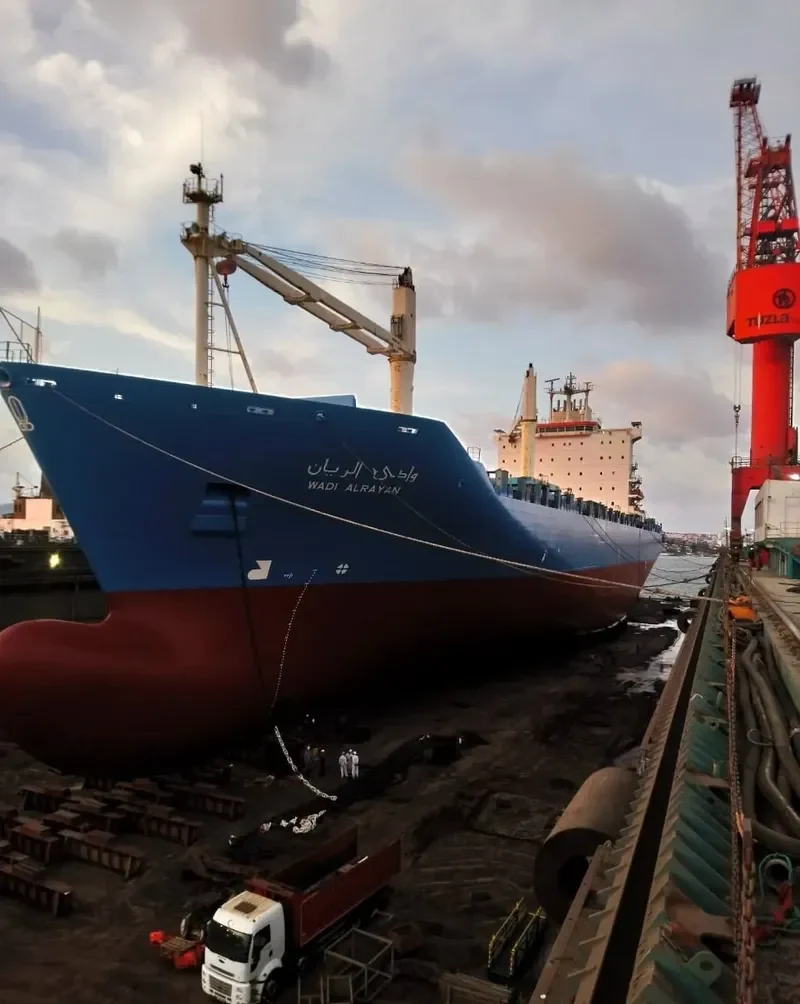 WADI ALRAYAN Container Ship IMO 9208875 photo 8