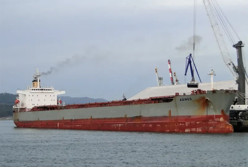 AGNES Bulk Carrier IMO 9209116