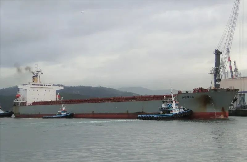 AGNES Bulk Carrier IMO 9209116 photo 2