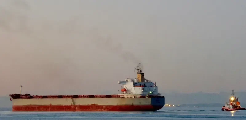AGNES Bulk Carrier IMO 9209116 photo 4