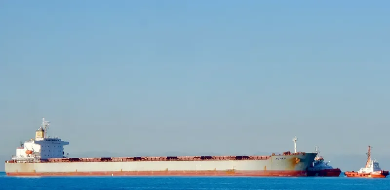 AGNES Bulk Carrier IMO 9209116 photo 7