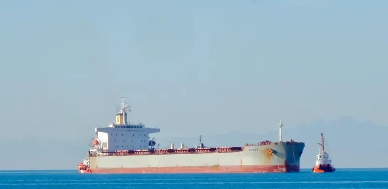 AGNES Bulk Carrier IMO 9209116 photo 8