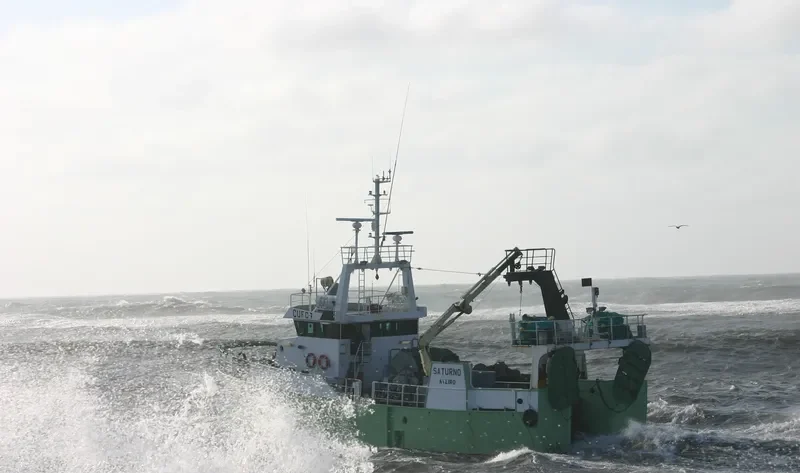 SATURNO General Cargo IMO 9209180 photo 4