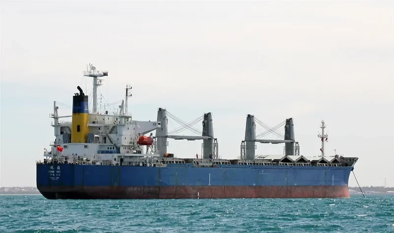 FENGHAI Bulk Carrier IMO 9209192 photo 4
