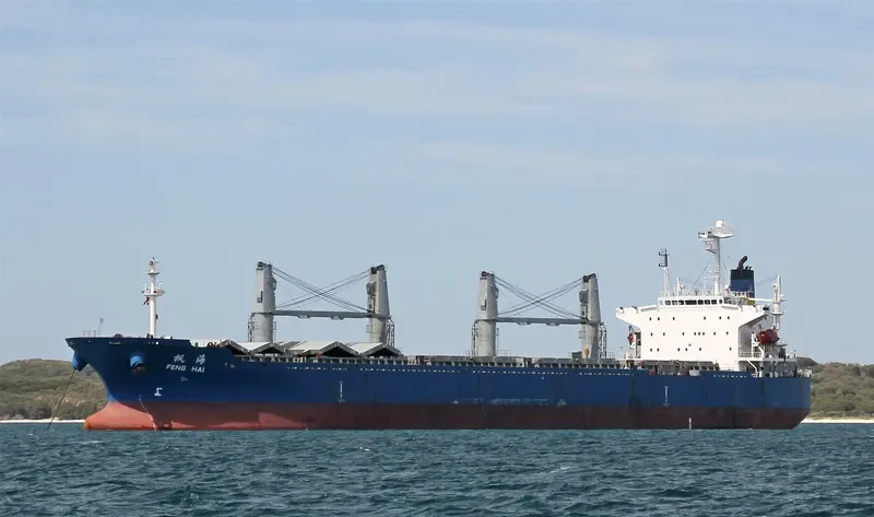 FENGHAI Bulk Carrier IMO 9209192 photo 5