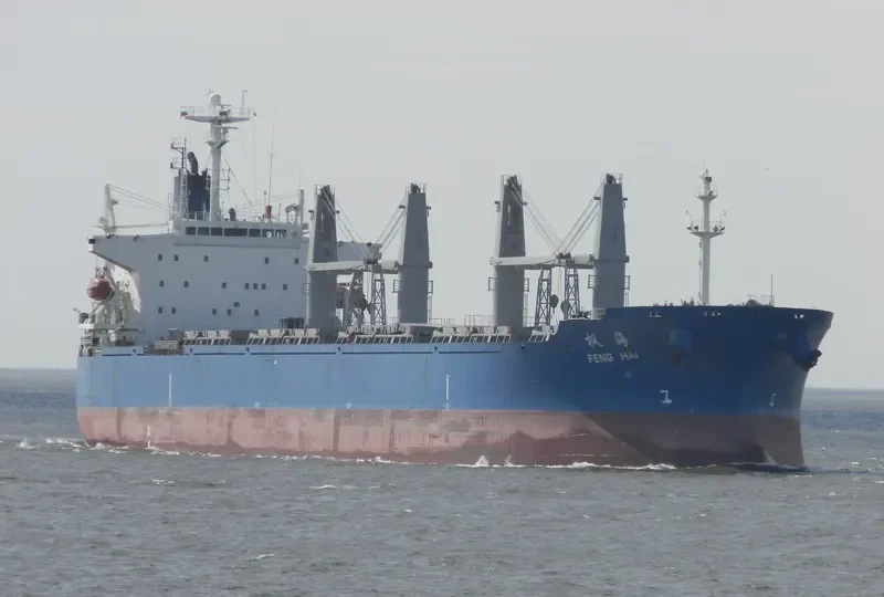 FENGHAI Bulk Carrier IMO 9209192 photo 6