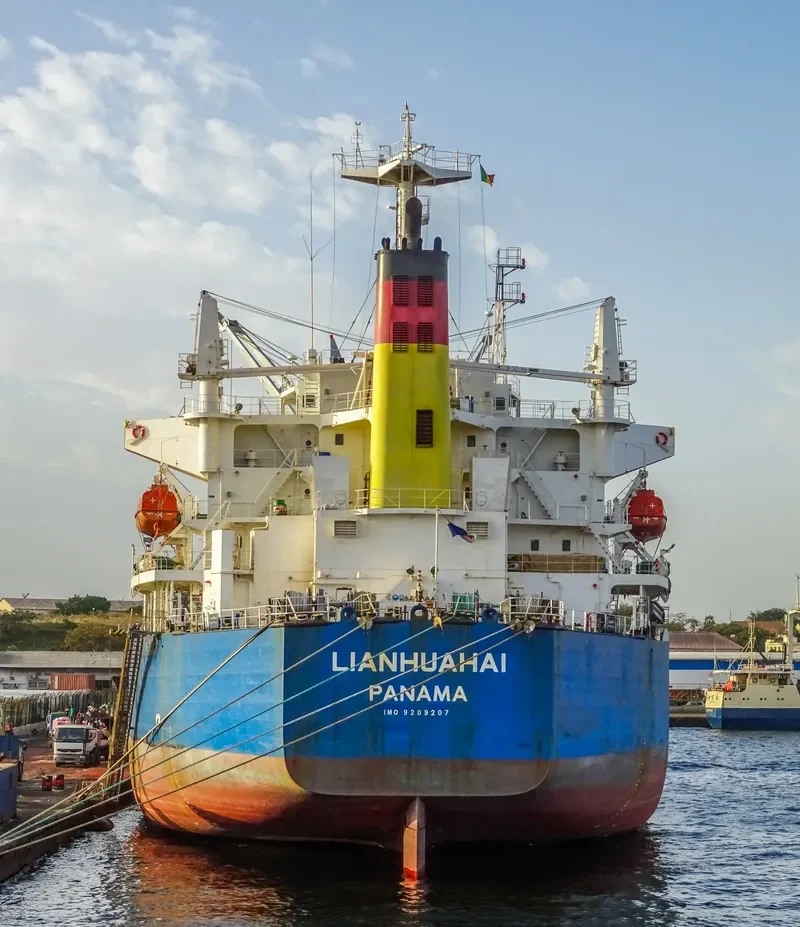 LIANHUAHAI Bulk Carrier IMO 9209207 photo 2