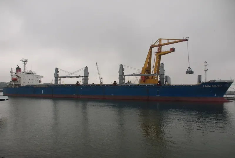 LIANHUAHAI Bulk Carrier IMO 9209207 photo 4