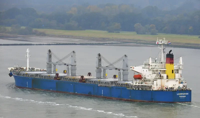 LIANHUAHAI Bulk Carrier IMO 9209207 photo 6