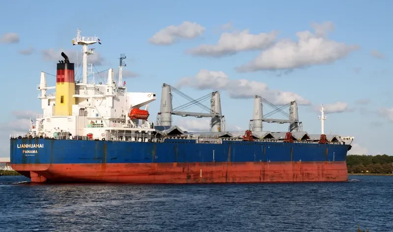 LIANHUAHAI Bulk Carrier IMO 9209207 photo 9