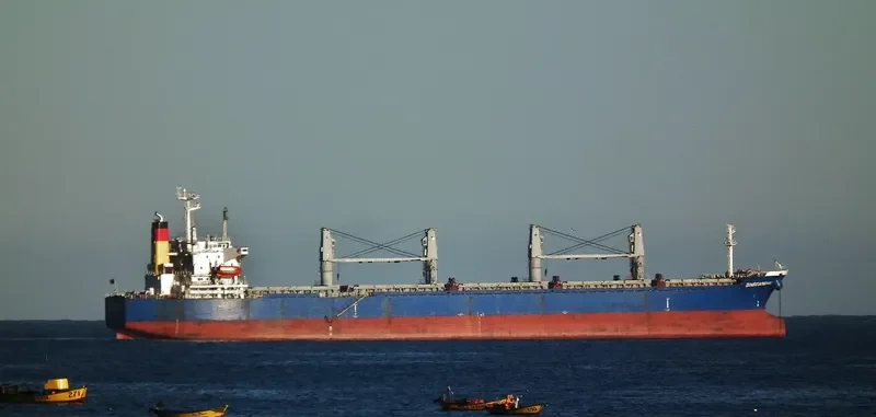 DINGXIANGHAI Bulk Carrier IMO 9209219 photo 3